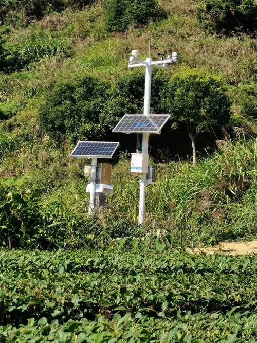 气象自动观测站厂家与自动气象站 选择、技术与应用全解析